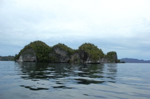 (04) raja ampat