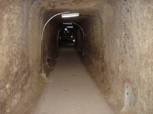 DSC03791