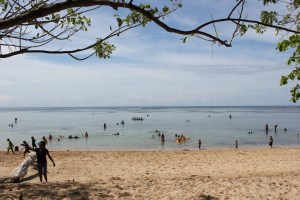 Tanjung Kasuari